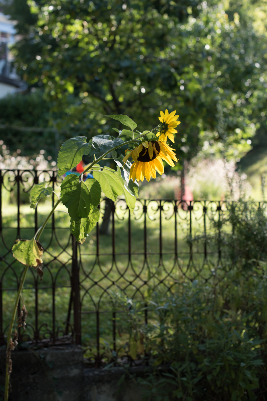 Kinderkrippe Spielkiste